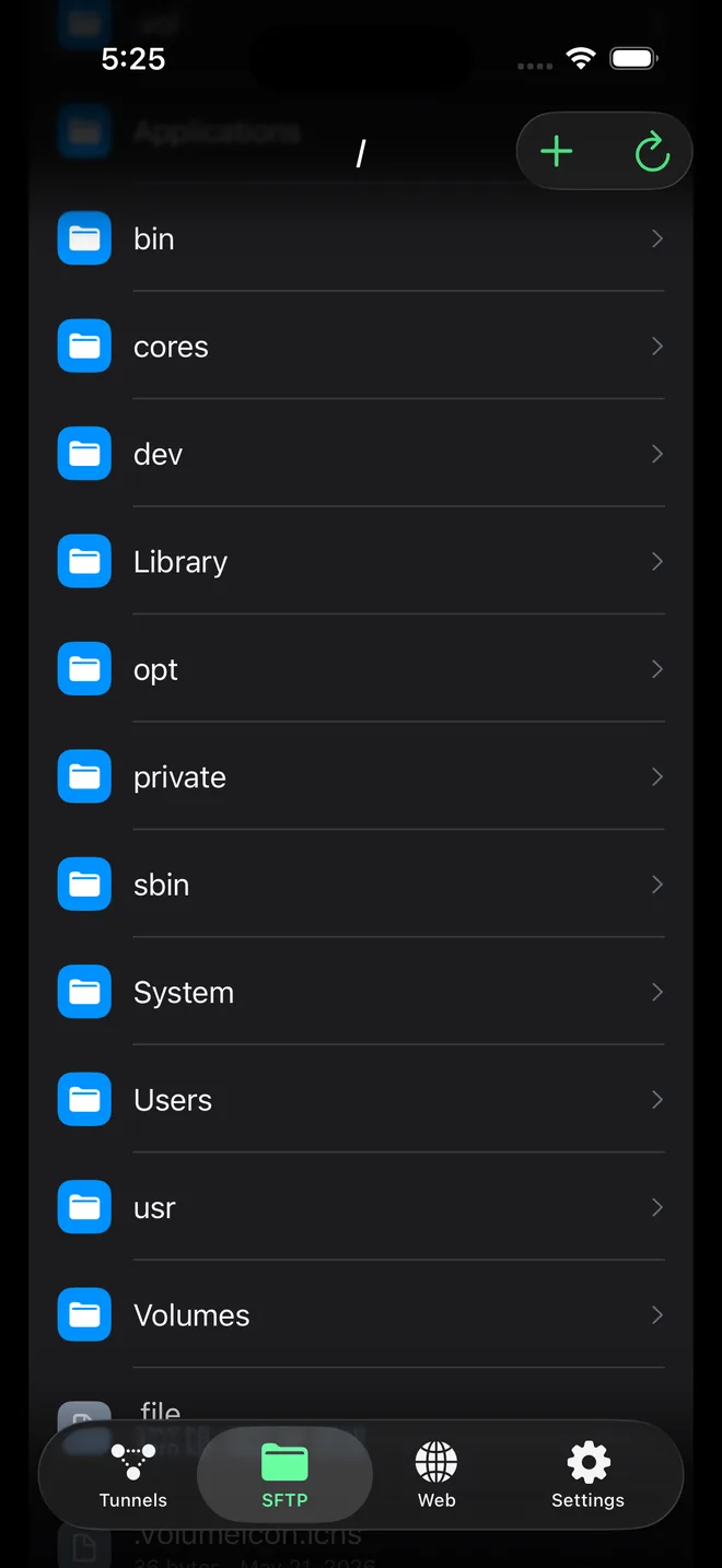 SFTP file browser listing remote files in EasyTunnel